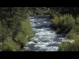A Wild Creek in Northern Colorado, 3 2633